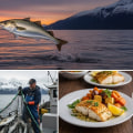 Exploring Alaska's Fish Processing Facilities: A Deep Dive into the Fishing Industry