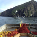 Exploring the Landscape of Commercial Fishing Boats in Alaska