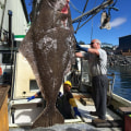 Exploring the Average Size of Fish Caught in Alaska: A Fisherman's Guide