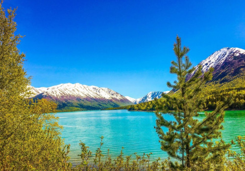 Exploring Alaska's Lakes: A Fisherman's Paradise