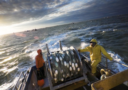 Exploring Alaska's Fishing Industry: Annual Catch and Its Impact