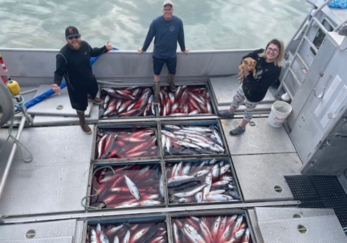 Exploring Alaska's Fishing Industry: The Role of Fish Processing Plants