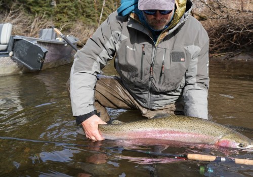 Exploring the Diverse Fish Species of Alaska: A Fisherman's Paradise